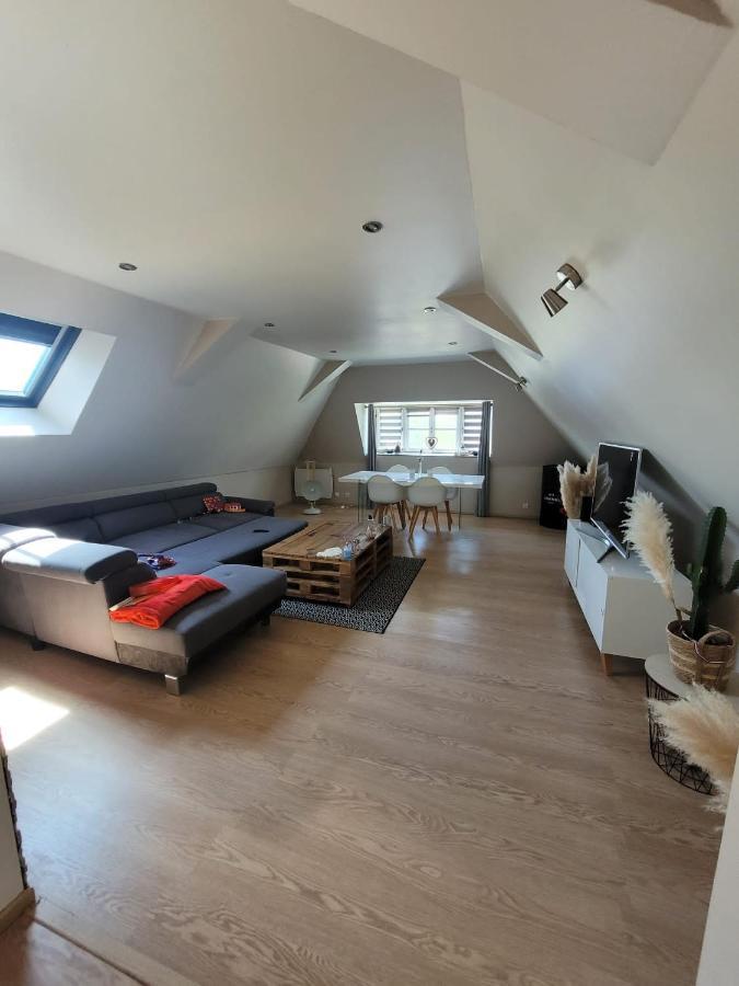 Loft Spacieux Et Lumineux Oloron-Sainte-Marie Buitenkant foto